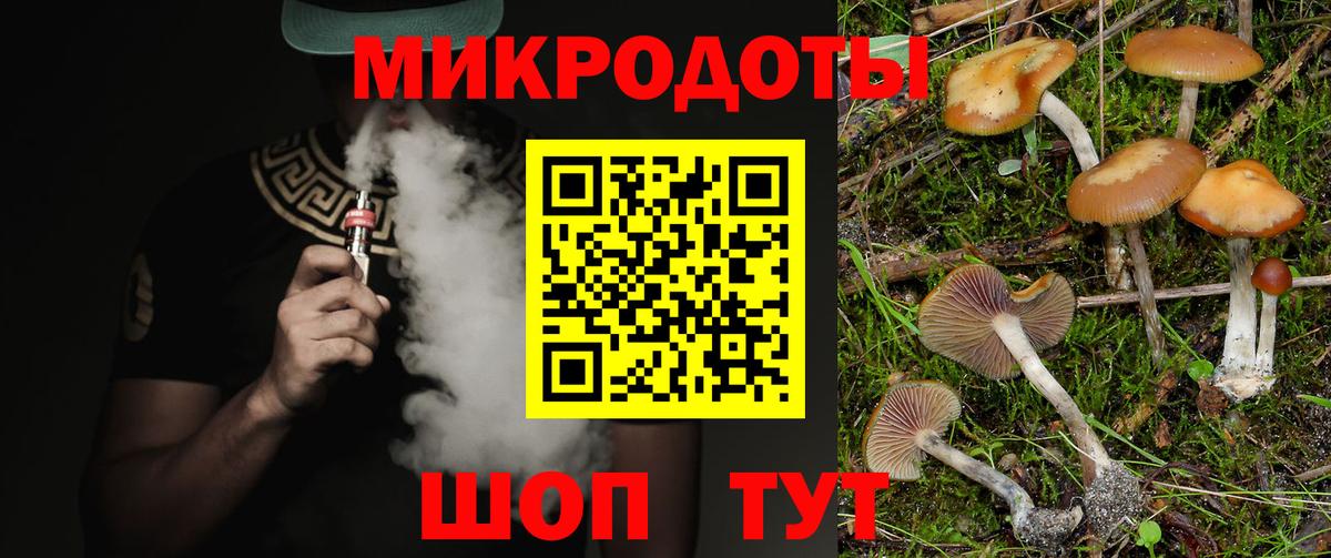 закладка  Псилоцибиновые грибы GOLDEN TEACHER  Вход с VPN  Дербент 